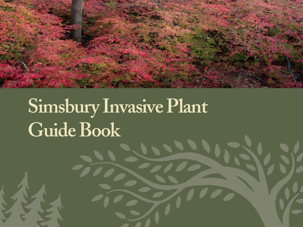 Simsbury Land Trust’s Invasive Plant&nbsp;Brochure