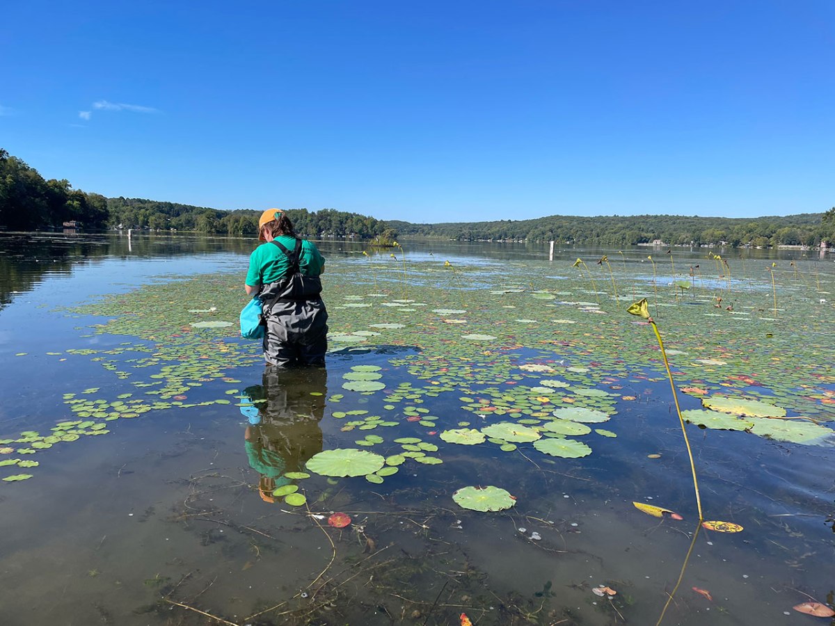 Northeast Aquatic Plant Management Society Plant&nbsp;Camp