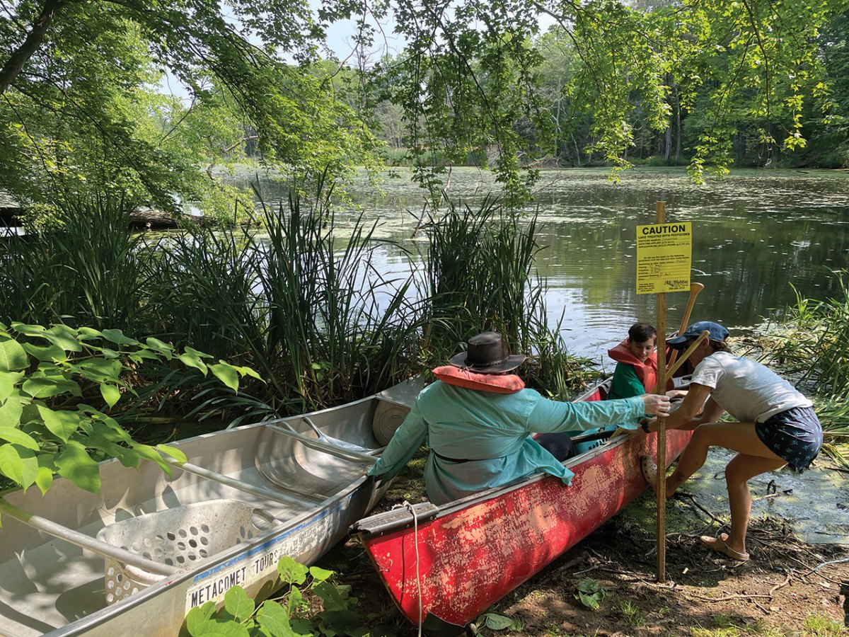 Aquatic Invasive Species (AIS)&nbsp;Management