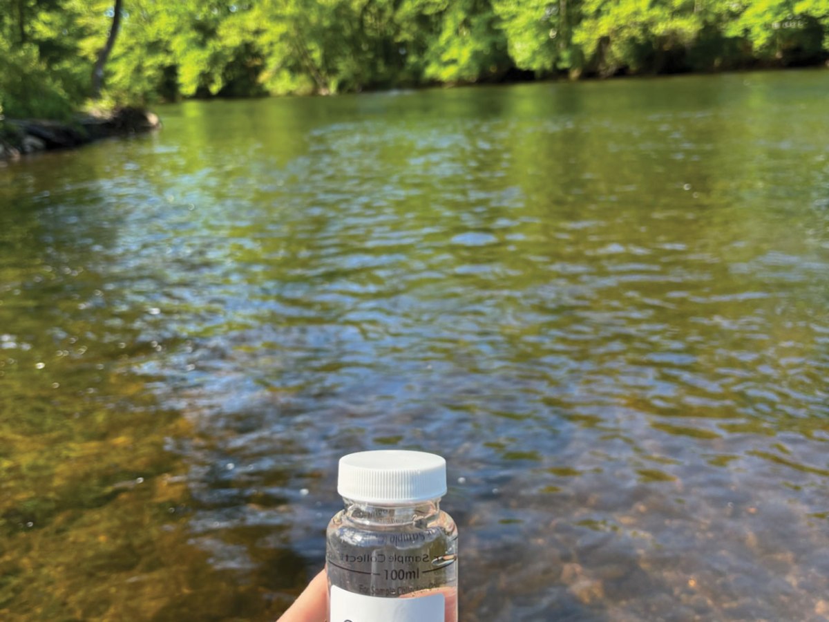 Water Quality Monitoring:&nbsp;Bacteria