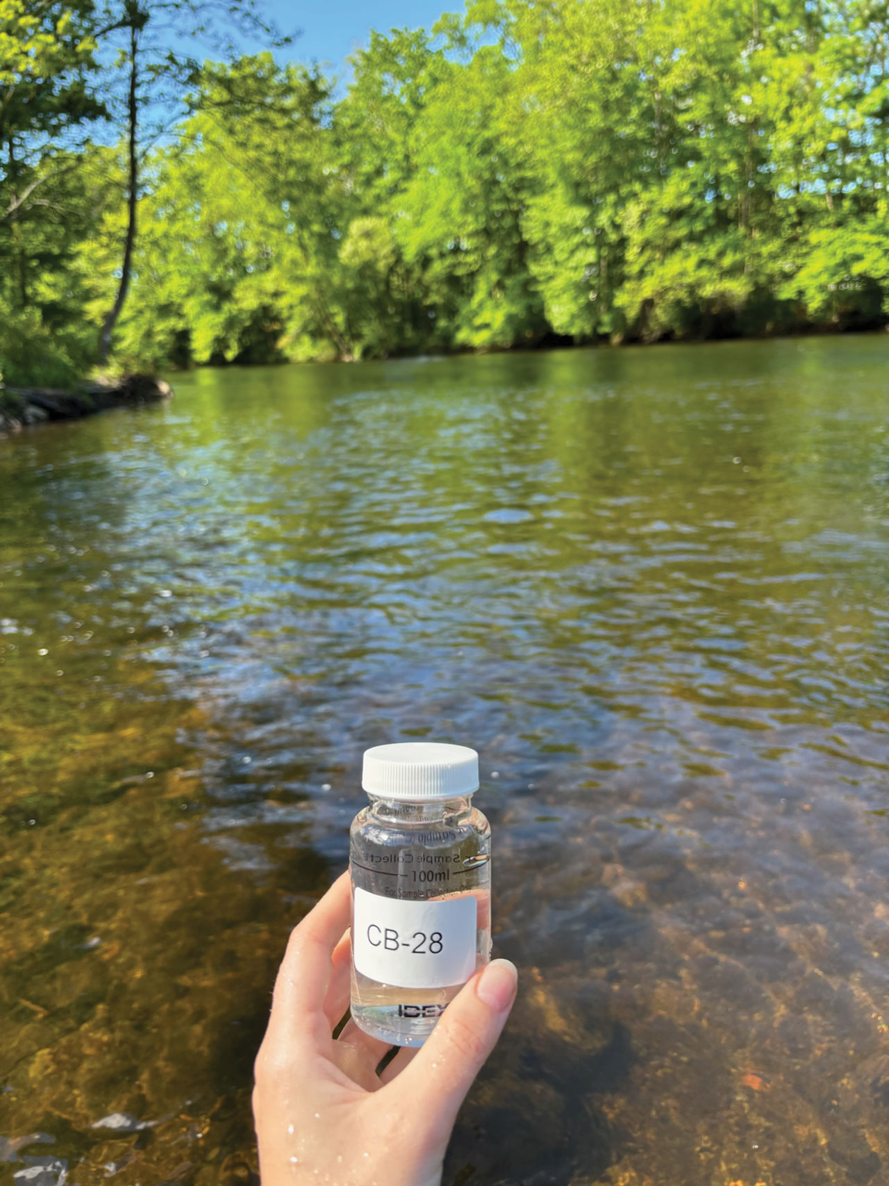 Water Quality Monitoring:&nbsp;Bacteria