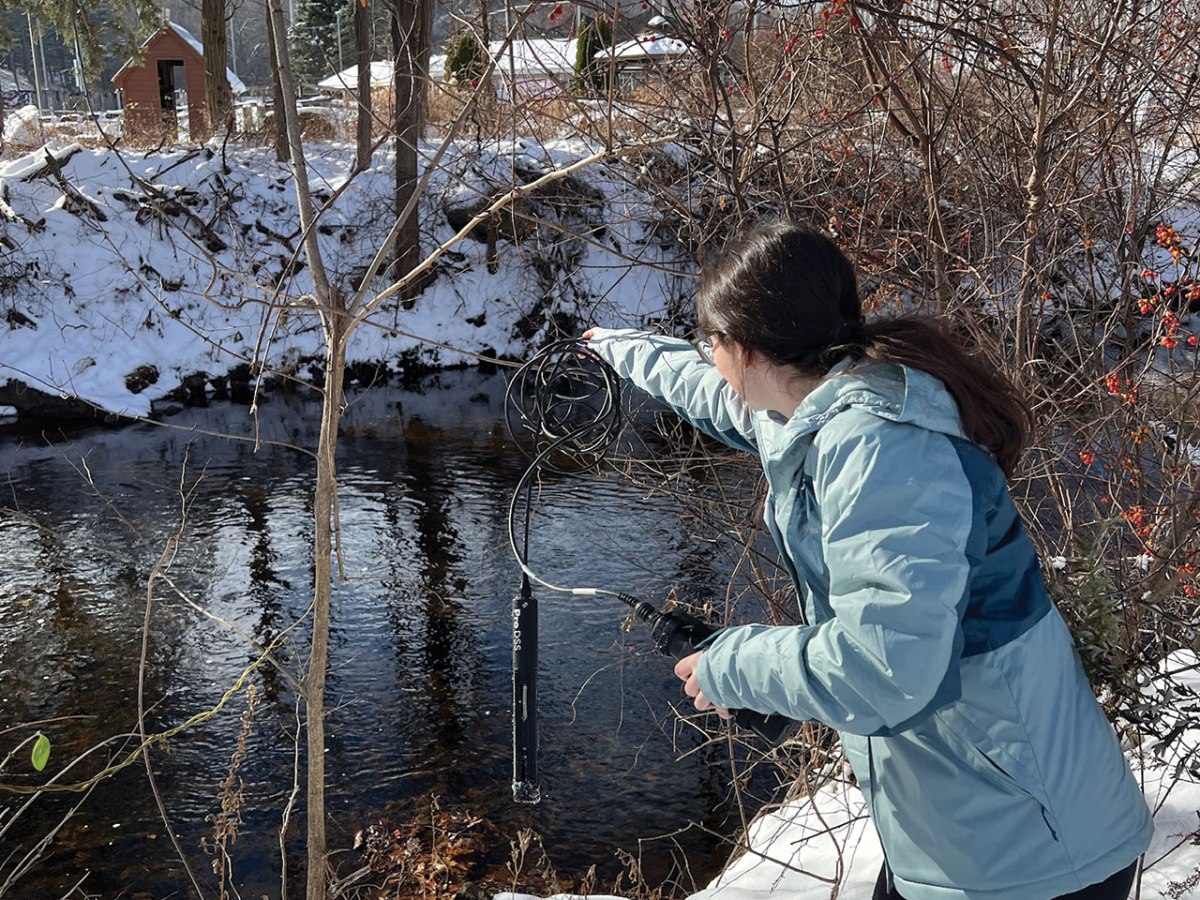 Water Quality Monitoring:&nbsp;Chloride