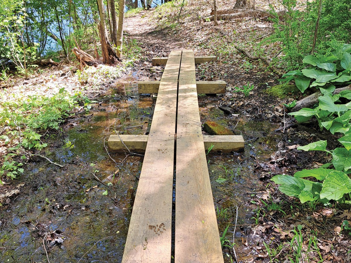 Lower Farmington River and Salmon Brook Wild and Scenic Annual Report&nbsp;2025
