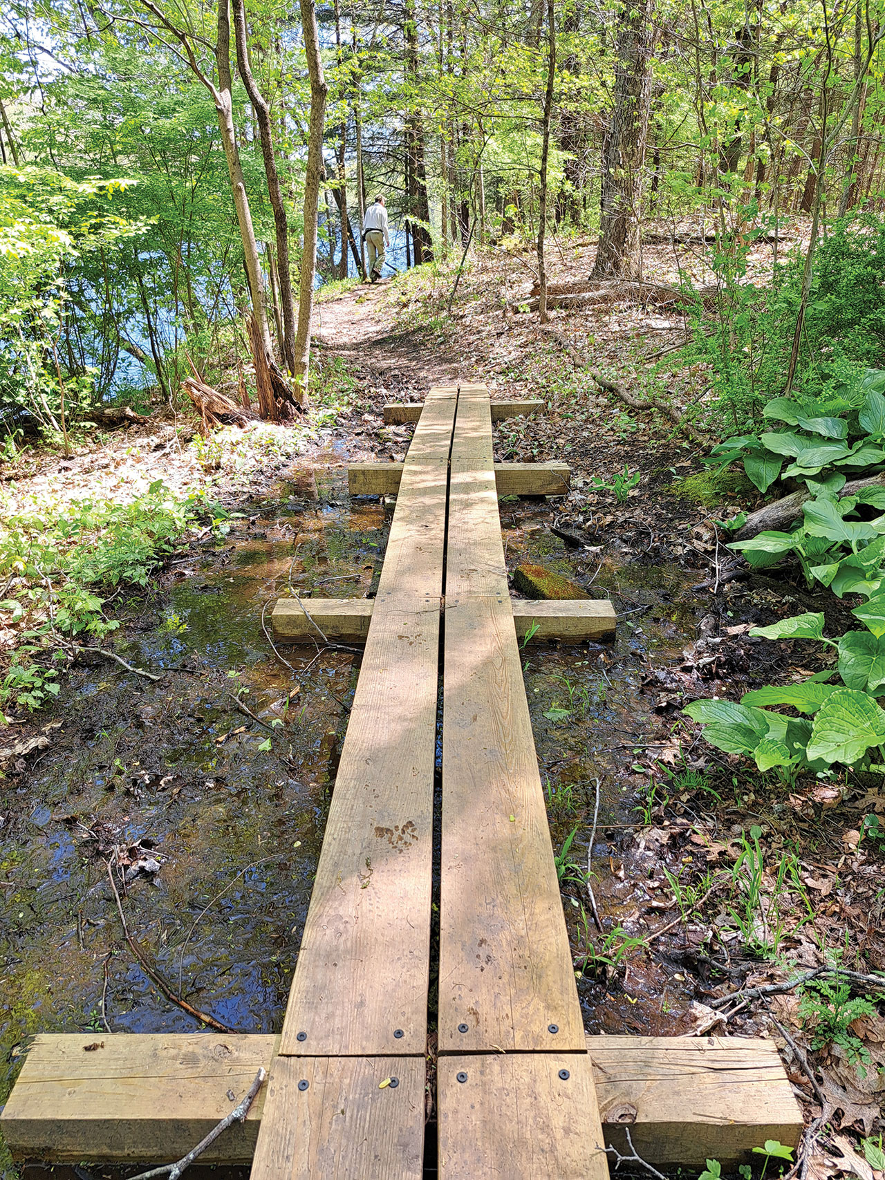Lower Farmington River and Salmon Brook Wild and Scenic Annual Report&nbsp;2025