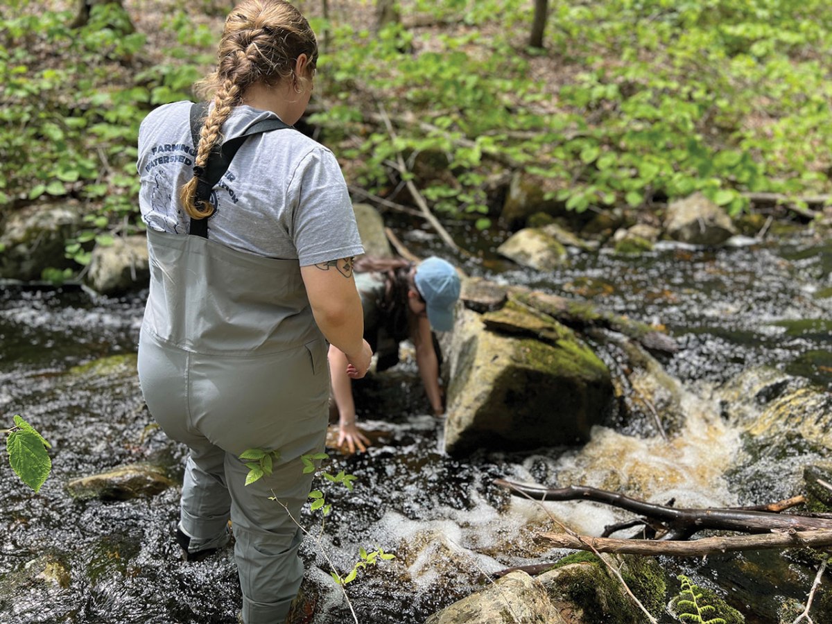 Water Quality Monitoring: Water&nbsp;Temperature